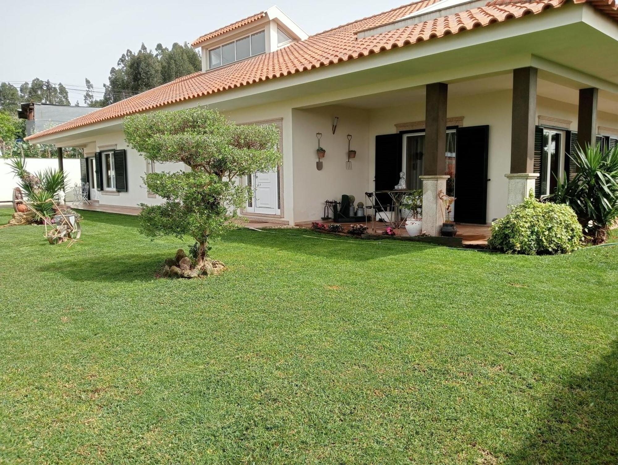Terreno Das Mimosas Aveiro Exterior photo