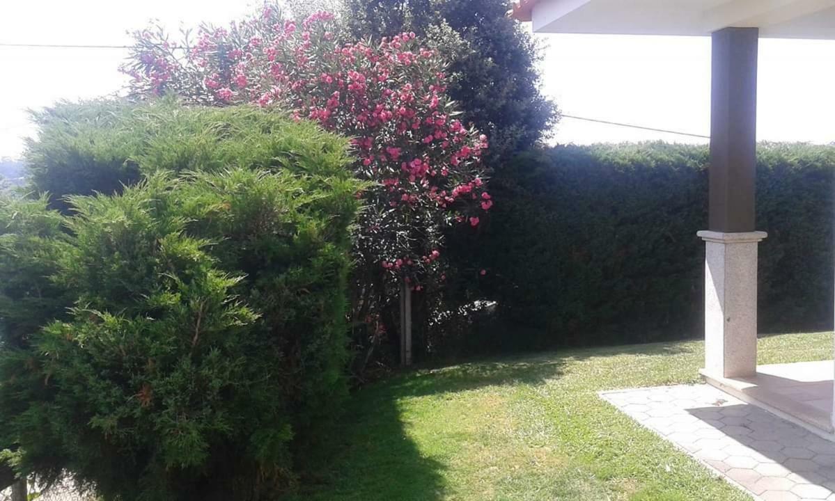 Terreno Das Mimosas Aveiro Exterior photo